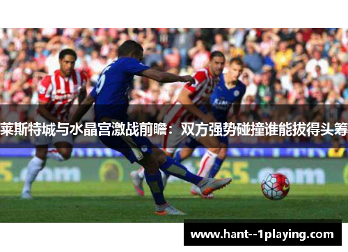 莱斯特城与水晶宫激战前瞻:双方强势碰撞谁能拔得头筹 莱斯特城与水晶宫激战前瞻:双方强势碰撞谁能拔得头筹