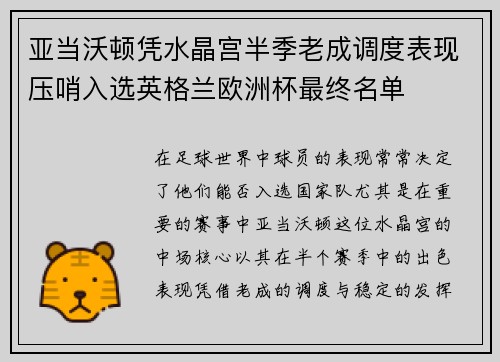 亚当沃顿凭水晶宫半季老成调度表现压哨入选英格兰欧洲杯最终名单